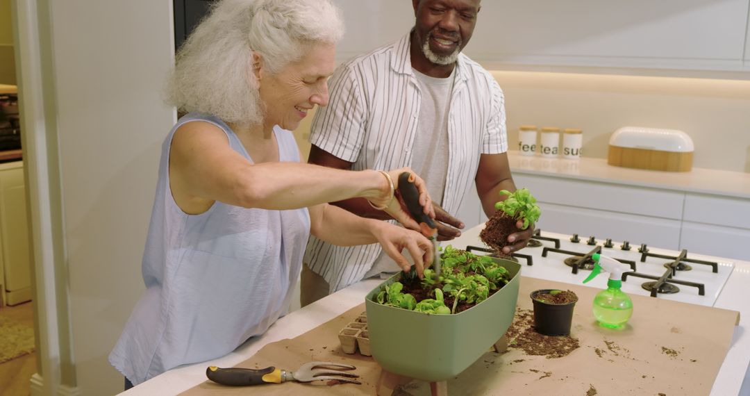 Senior couple gardening indoors planting herbs on kitchen counter