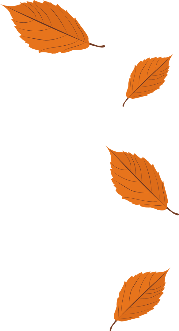 Transparent Autumn Leaves Drifting in Fall Seasonal Background