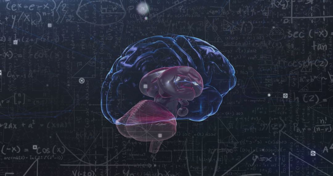 Digital Brain Anatomy with Complex Mathematical Formulas Backdrop