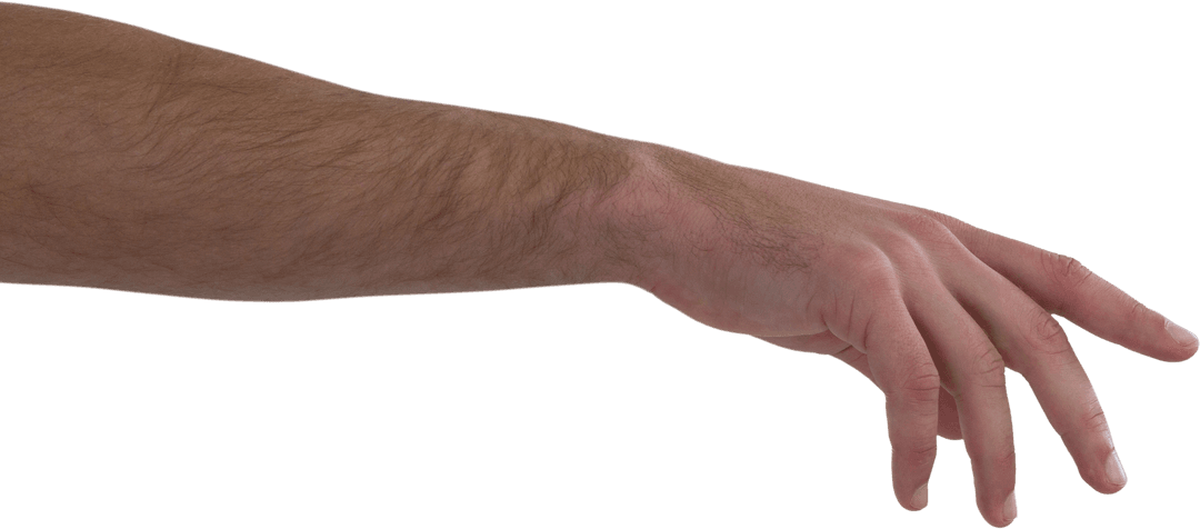 Isolated Human Arm Reaching with Transparent Background