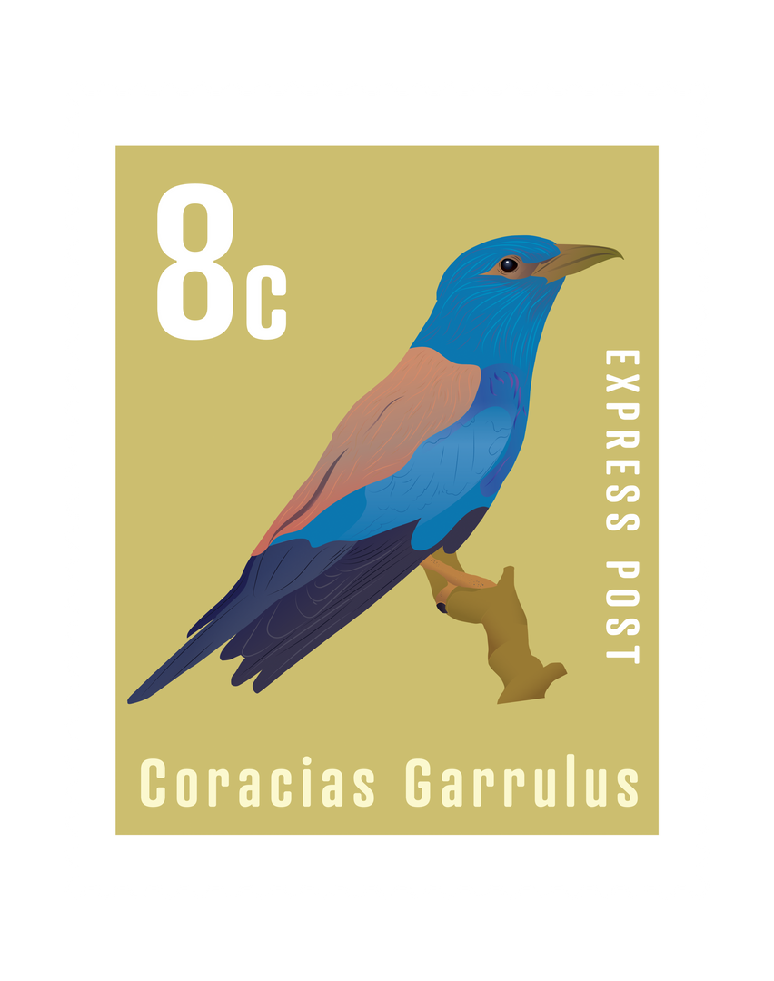 Transparent Bird Postage Stamp Digital Illustration - Download Free Stock Images Pikwizard.com