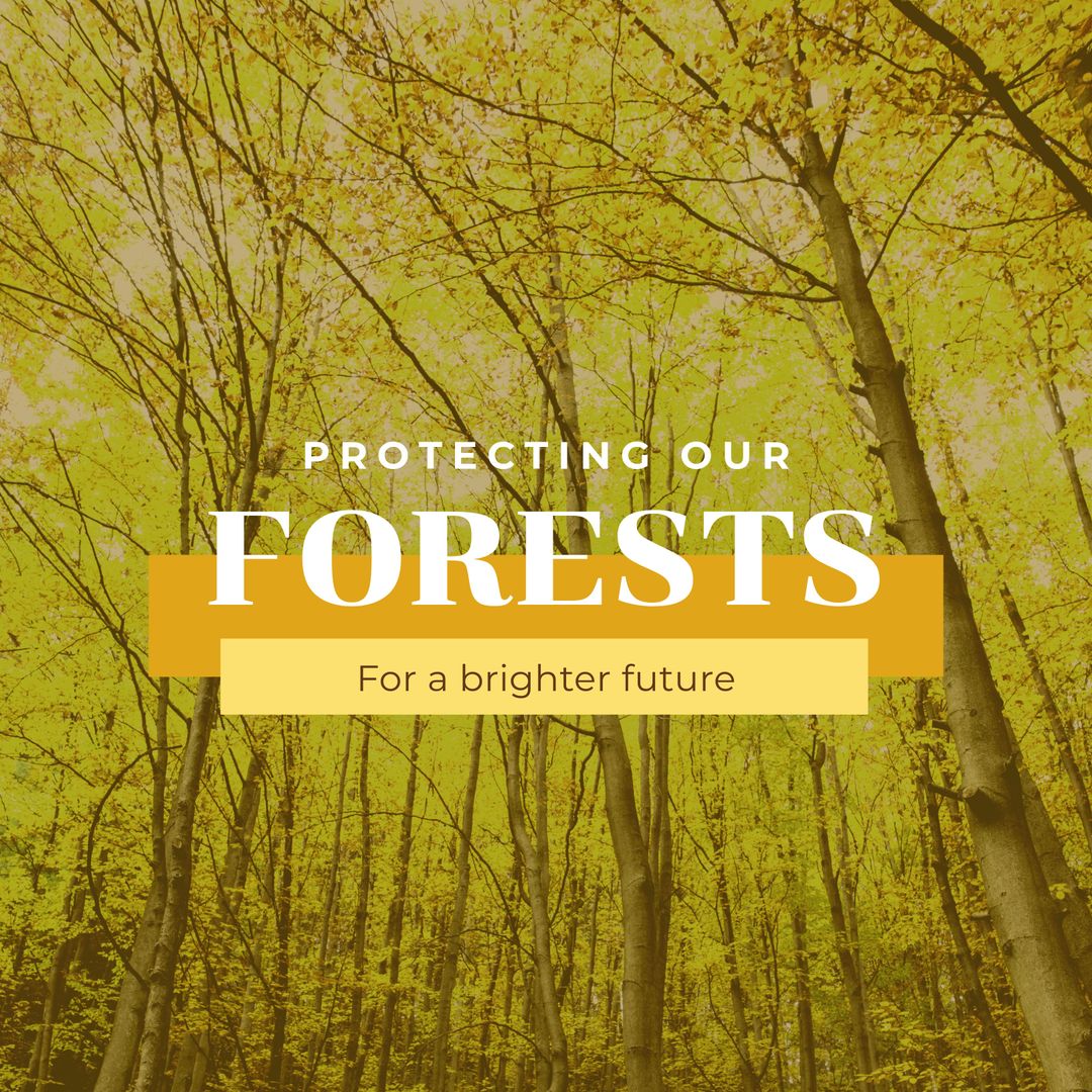 Protecting Forests for a Brighter Future Environmental Awareness