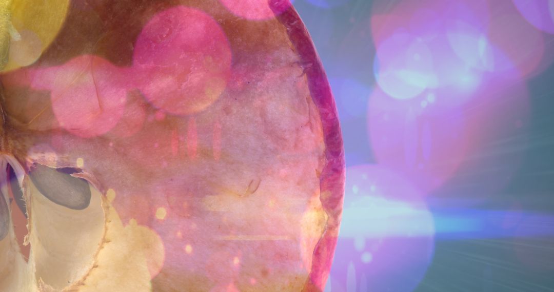 Creative Bokeh and Apple Slice Contrast with Vibrant Colors