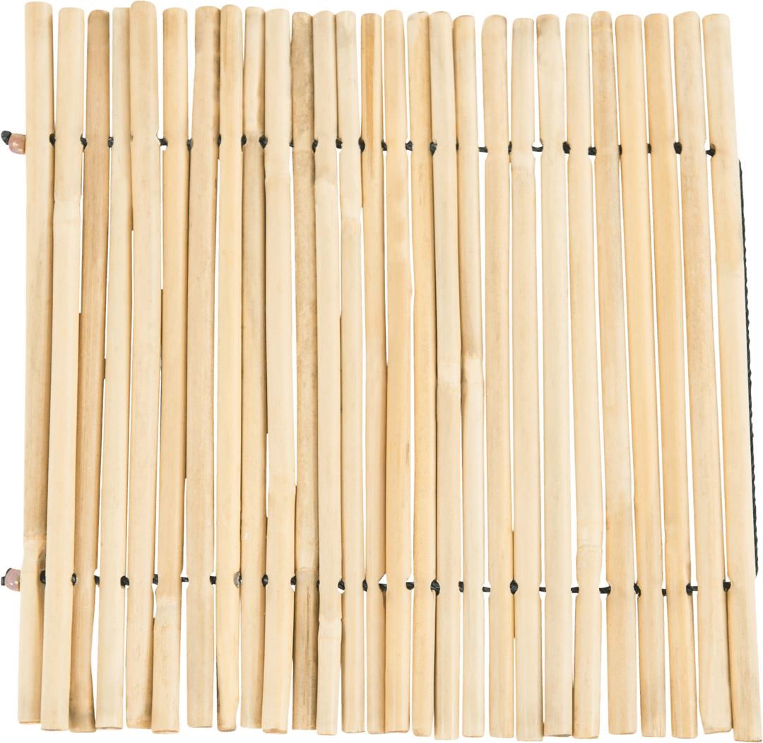 Transparent Close-Up of Sushi Rolling Mat