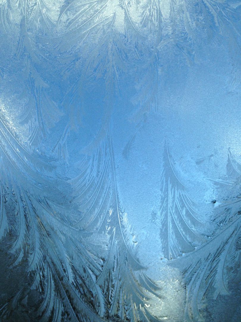 Delicate Frost Patterns on Window Glass Creating Feathery Ice Texture in Icy Blue Light