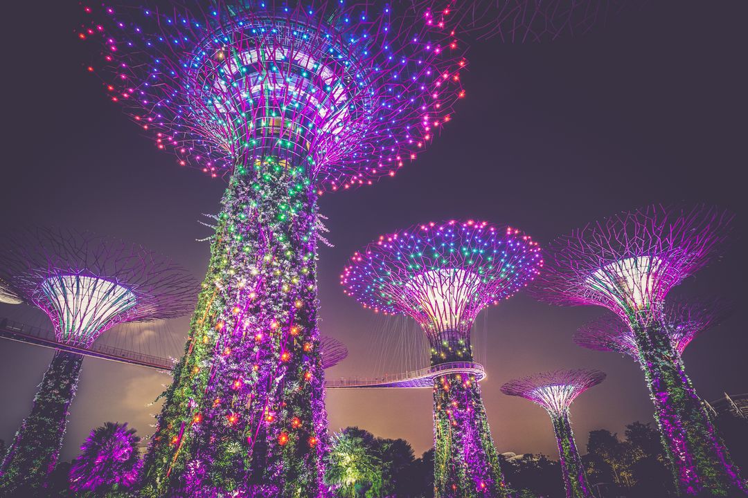 Futuristic Garden Trees Illuminated by Colorful Lights at Night - Free Images, Stock Photos and Pictures on Pikwizard.com
