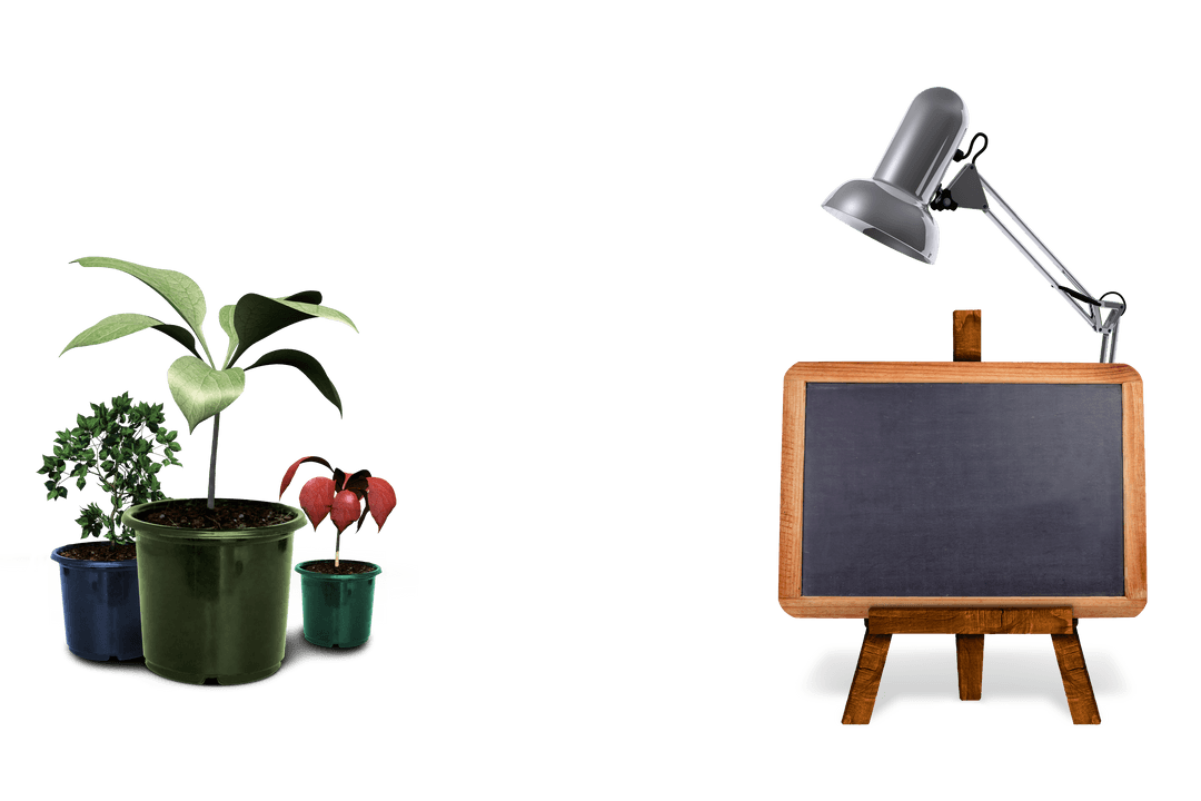 Transparent Blackboard With Potted Plants and Desk Lamp Setup