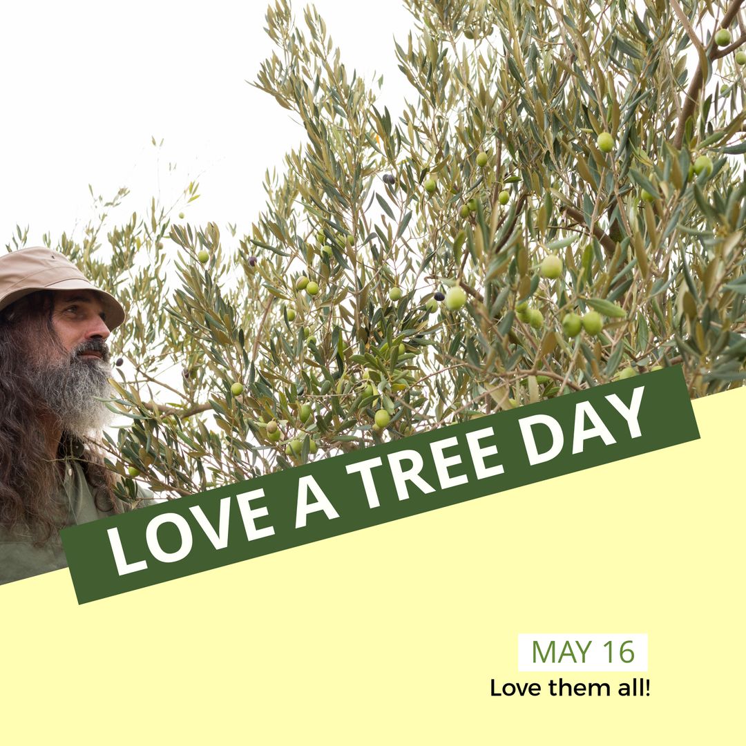 Celebrating Love a Tree Day with Senior Man in Olive Orchard