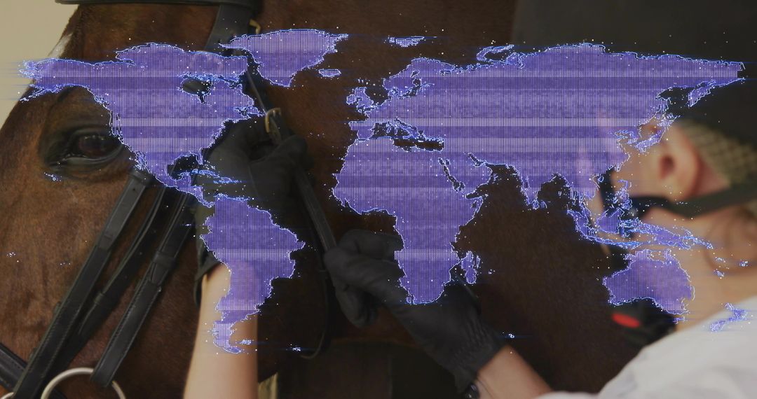 Horse Handlers Adjusting Tack with Digital World Map Projection