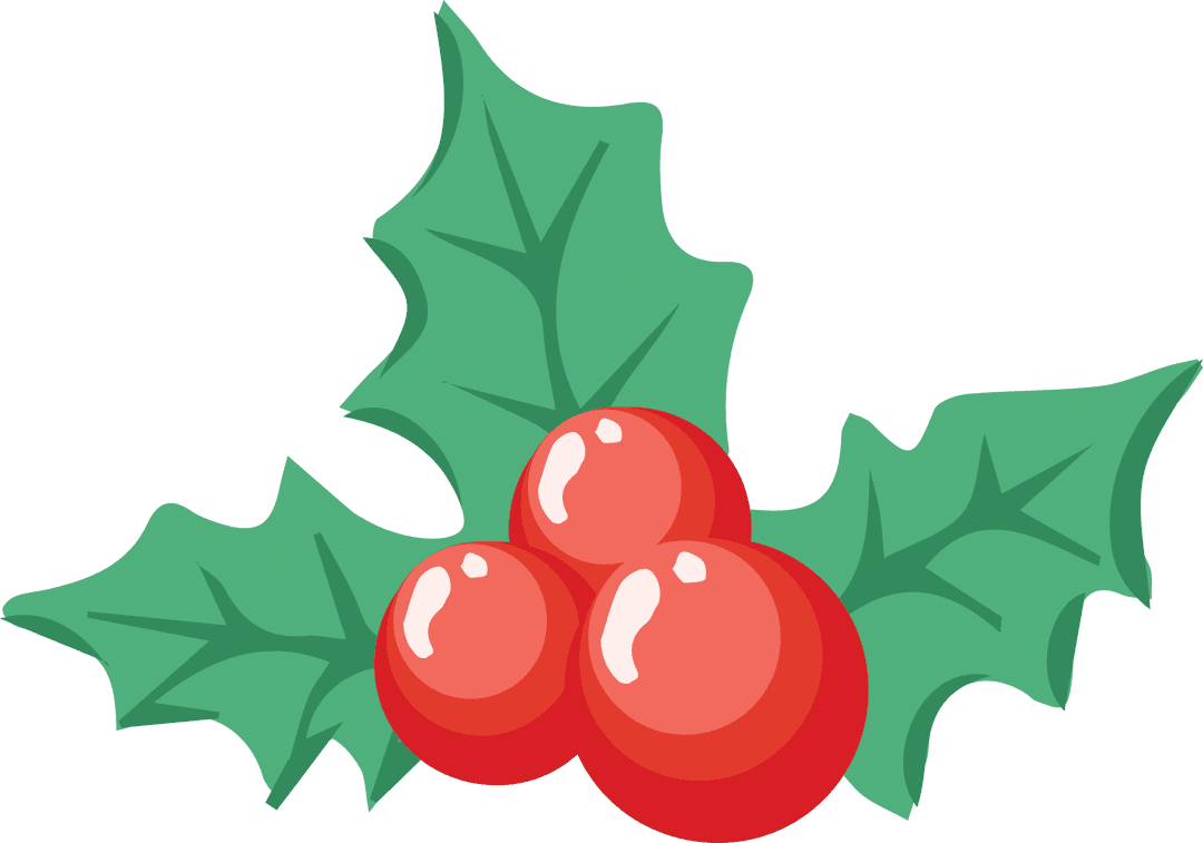 Christmas Berries and Leaves Illustration on Transparent Background