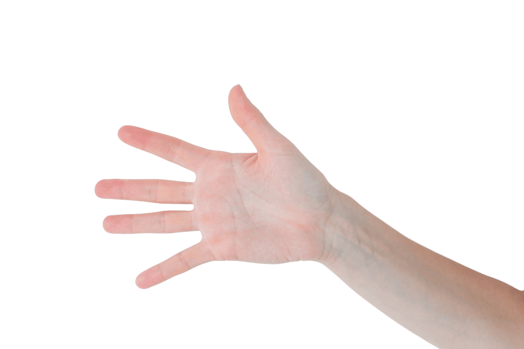 Transparent Background Open Hand Gesture