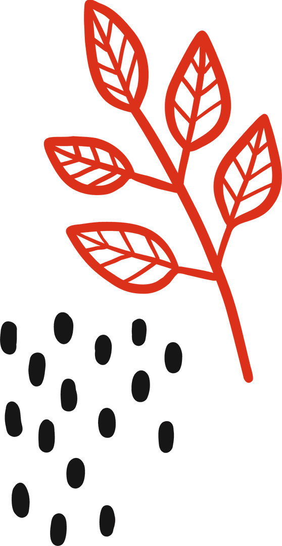 Red Branch and Black Ovals on Transparent Background Decor