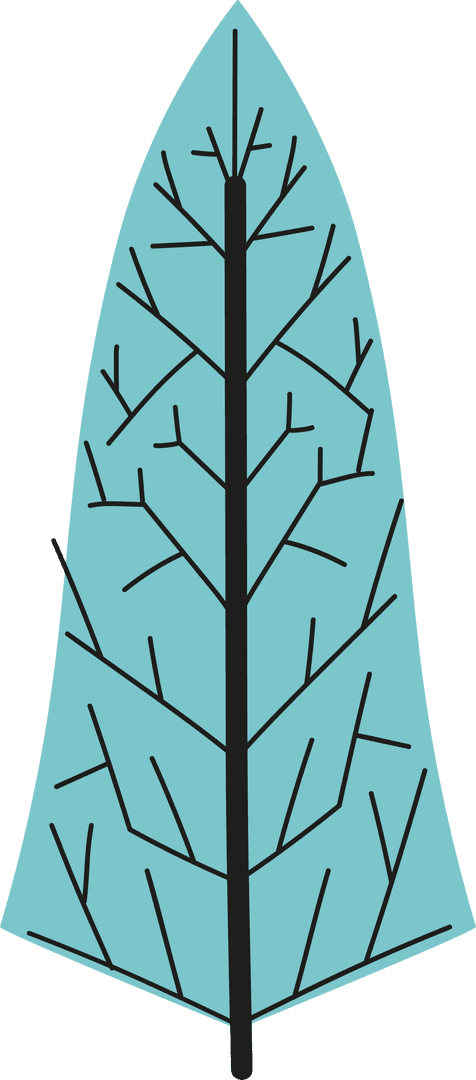 Turquoise Leaf Icon with Black Branching Veins on Transparent