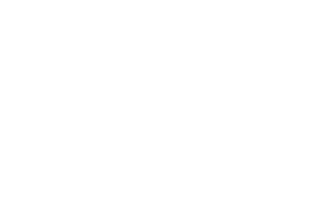 White label pattern on transparent background vector