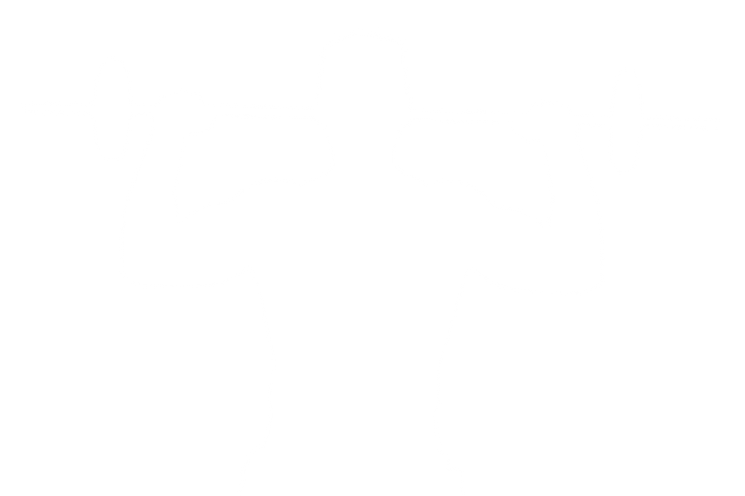 Transparent Silhouette of Male Weightlifting with Barbell - Download Free Stock Images Pikwizard.com