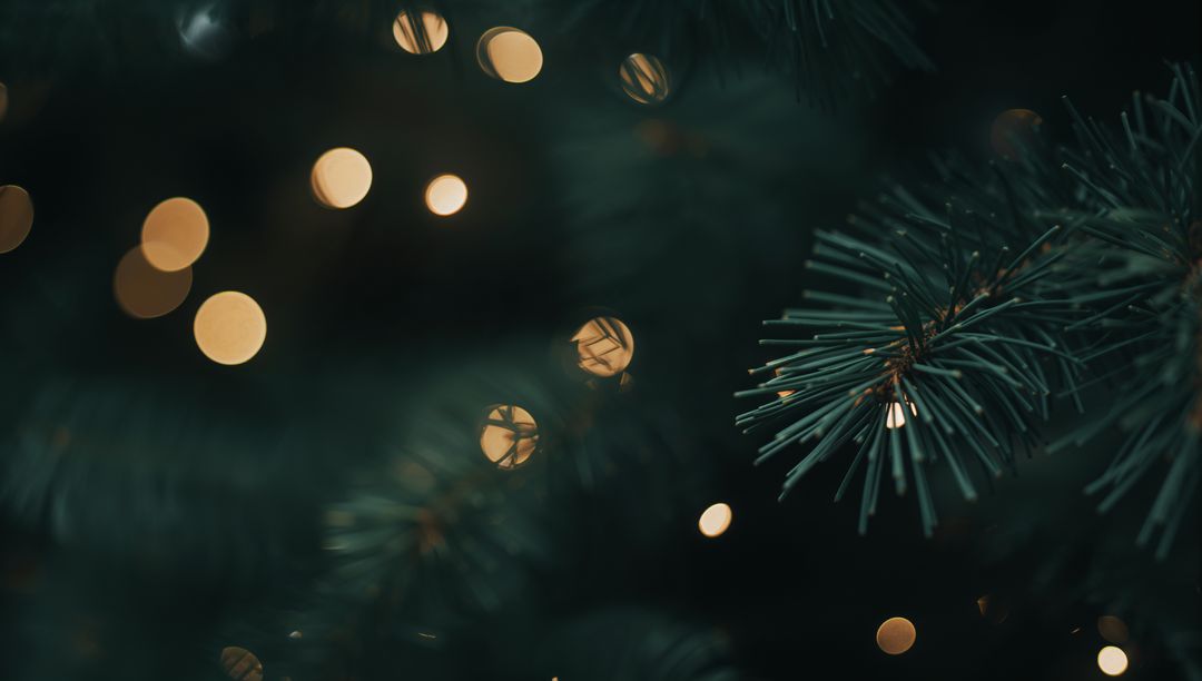 Moody pine needles glowing with warm bokeh lights macro evergreen branch holiday ambience