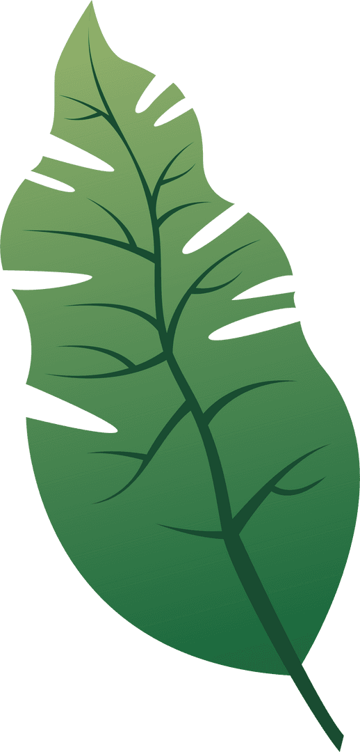 Tropical Leaf Vector with Gradient on Transparent Background