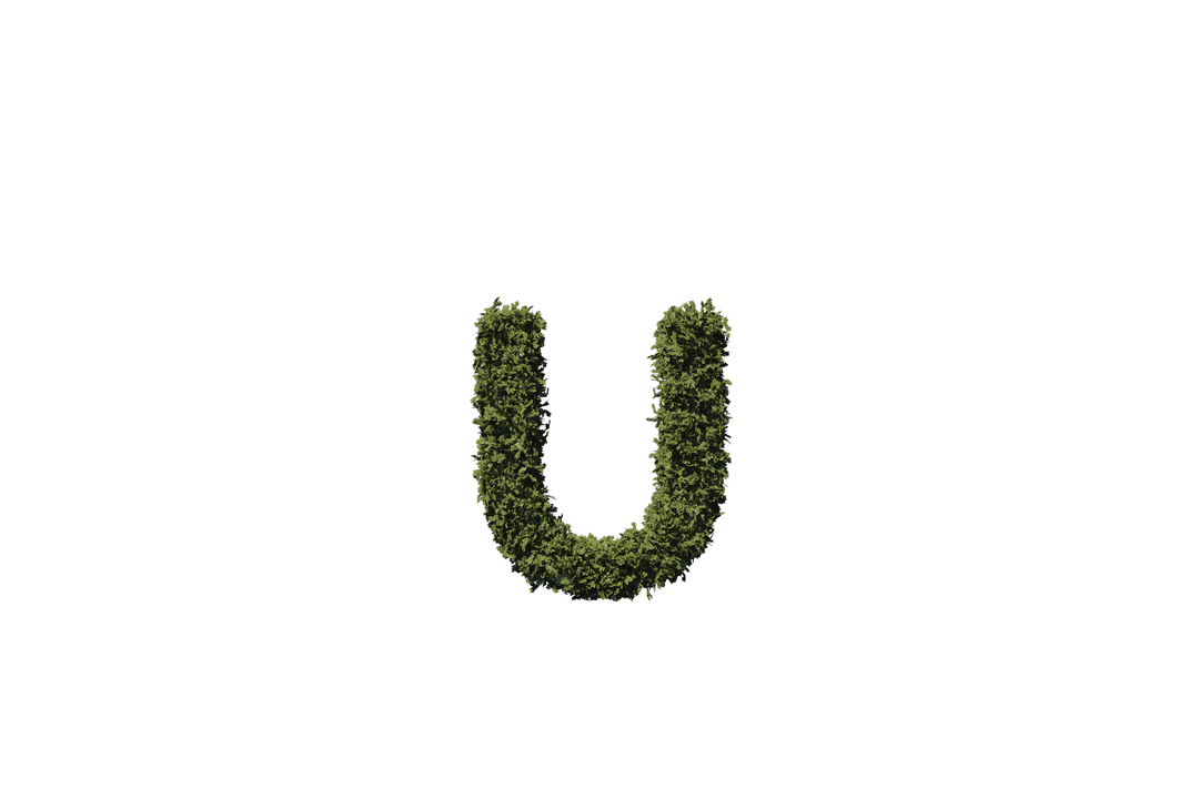 Leafy Green Letter U on Transparent Background Illustration