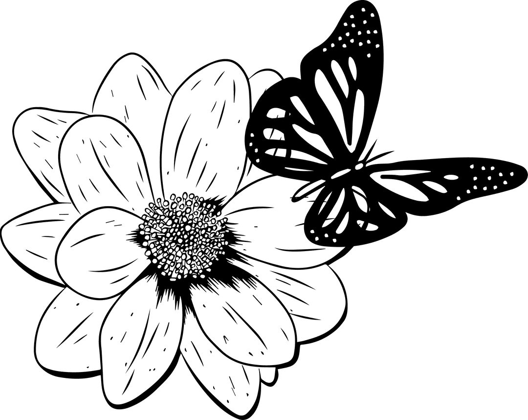 Transparent Butterfly Landing on Flower Sketch