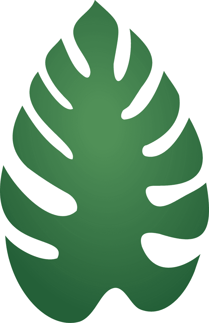 Flat Design Green Monstera Leaf on Transparent Background