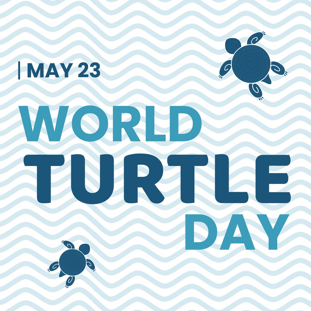 World Turtle Day Celebration Poster with Turtles and Wave Patterns