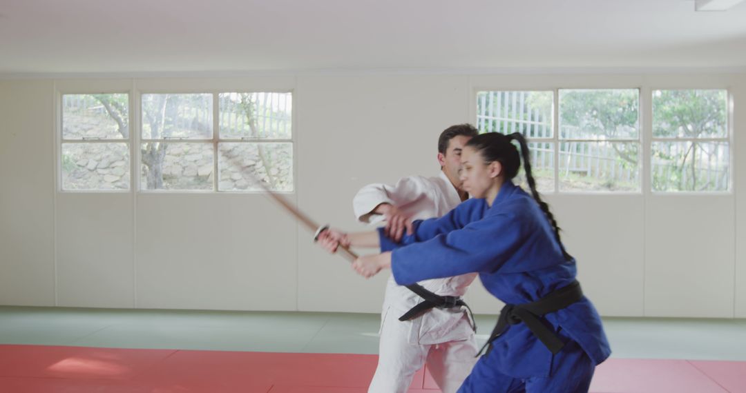 Judo Fighters Practicing Martial Arts with Swords in Gym - Free Images, Stock Photos and Pictures on Pikwizard.com