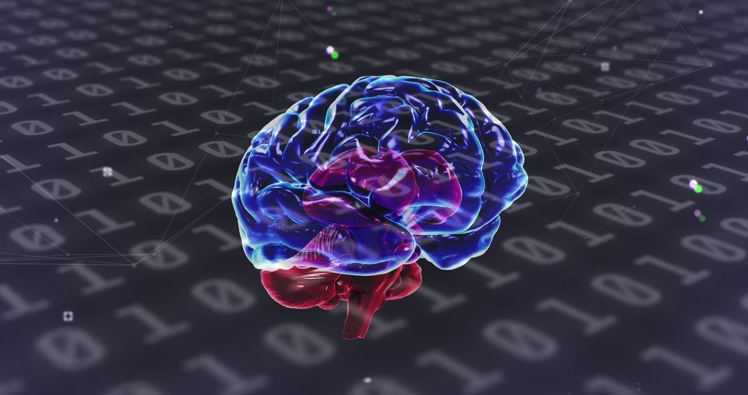 Digital Brain Model with Binary Code Background - Free Images, Stock Photos and Pictures on Pikwizard.com