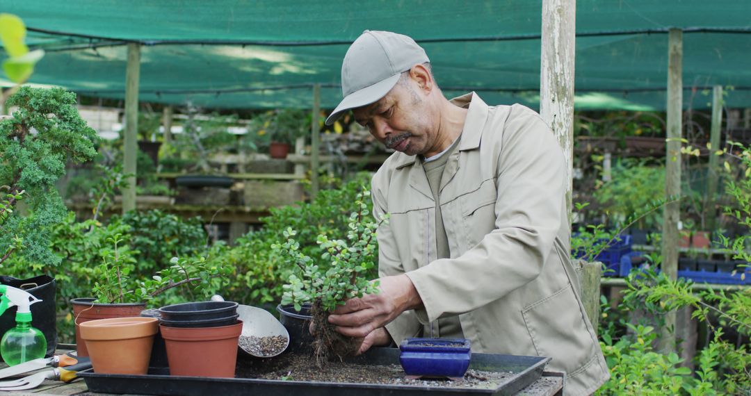 Senior Man Tending to Plants in a Greenhouse Garden - Free Images, Stock Photos and Pictures on Pikwizard.com