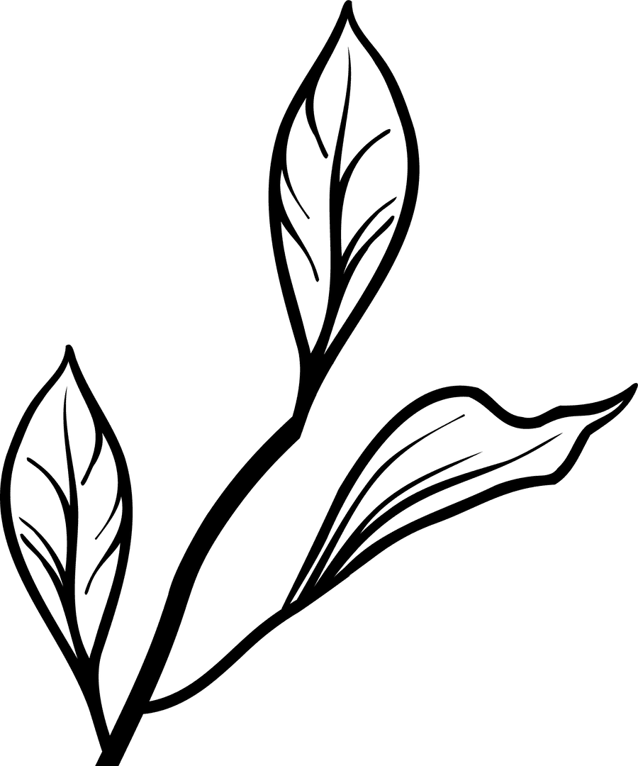 Transparent Minimalist Line-Art of Botanical Sprig with Leaves