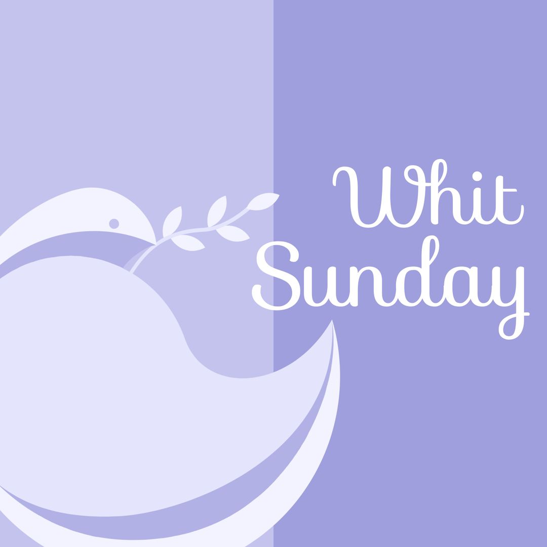 Whit Sunday Symbolic Dove with Olive Branch on Purple Background