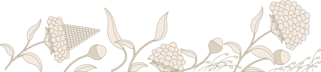 Floral Design Seamless Border with Cream Blooms Transparent Background