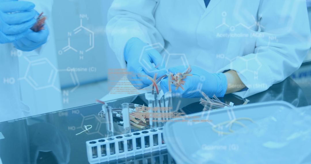 Science Researchers Analyzing Samples in Laboratory Setting