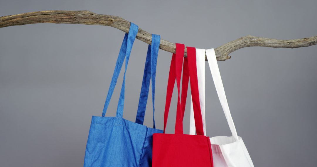 Colorful Eco-Friendly Tote Bags Hanging on Branch - Free Images, Stock Photos and Pictures on Pikwizard.com