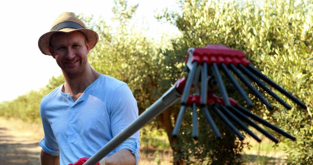 Olive Farmer Smiling while Harvesting with a Traditional Tool - Free Images, Stock Photos and Pictures on Pikwizard.com