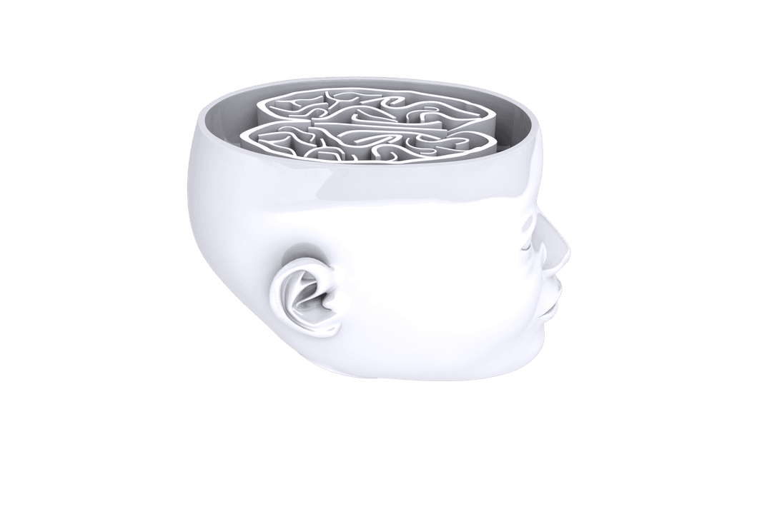 Transparent Illustration of Human Head Cross Section with Brain Maze