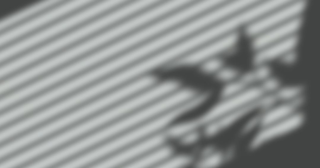 Leaf Shadows Cast on Striped Blinds Background