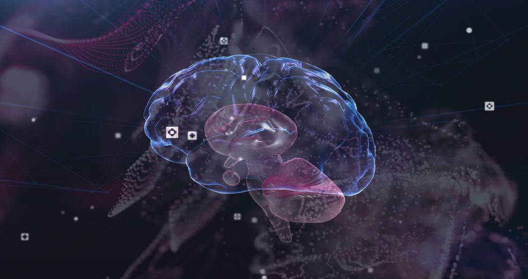 Transparent 3D brain visualization highlighting cerebellum, neural connectivity and data flow