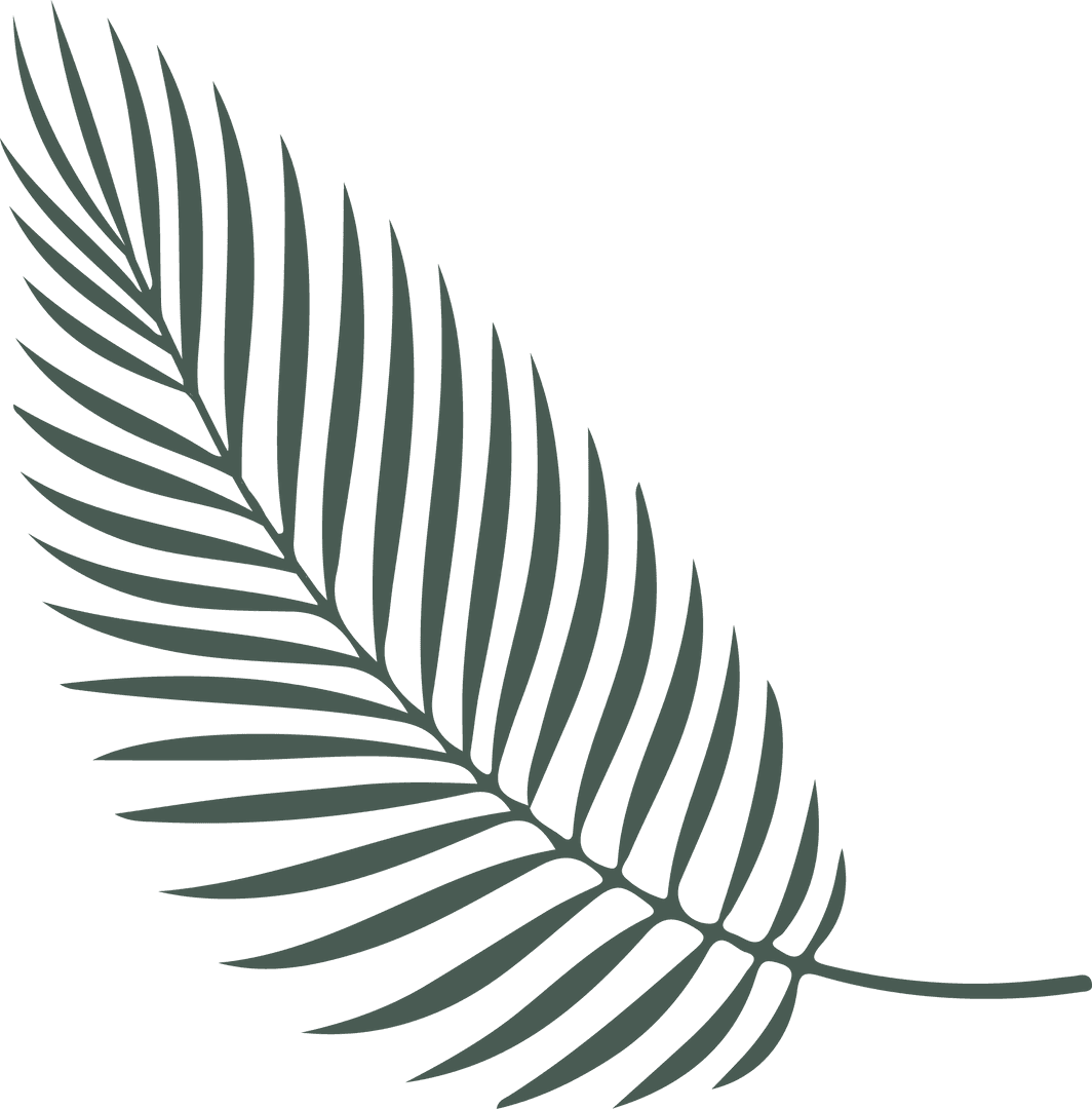 Dark Green Palm Frond Isolated on Transparent Background