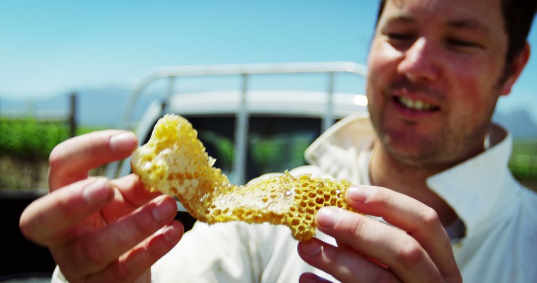 Beekeeper closely examining honeycomb outdoors - Free Images, Stock Photos and Pictures on Pikwizard.com