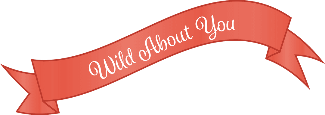 Wild About You Ribbon Banner Transparent Design