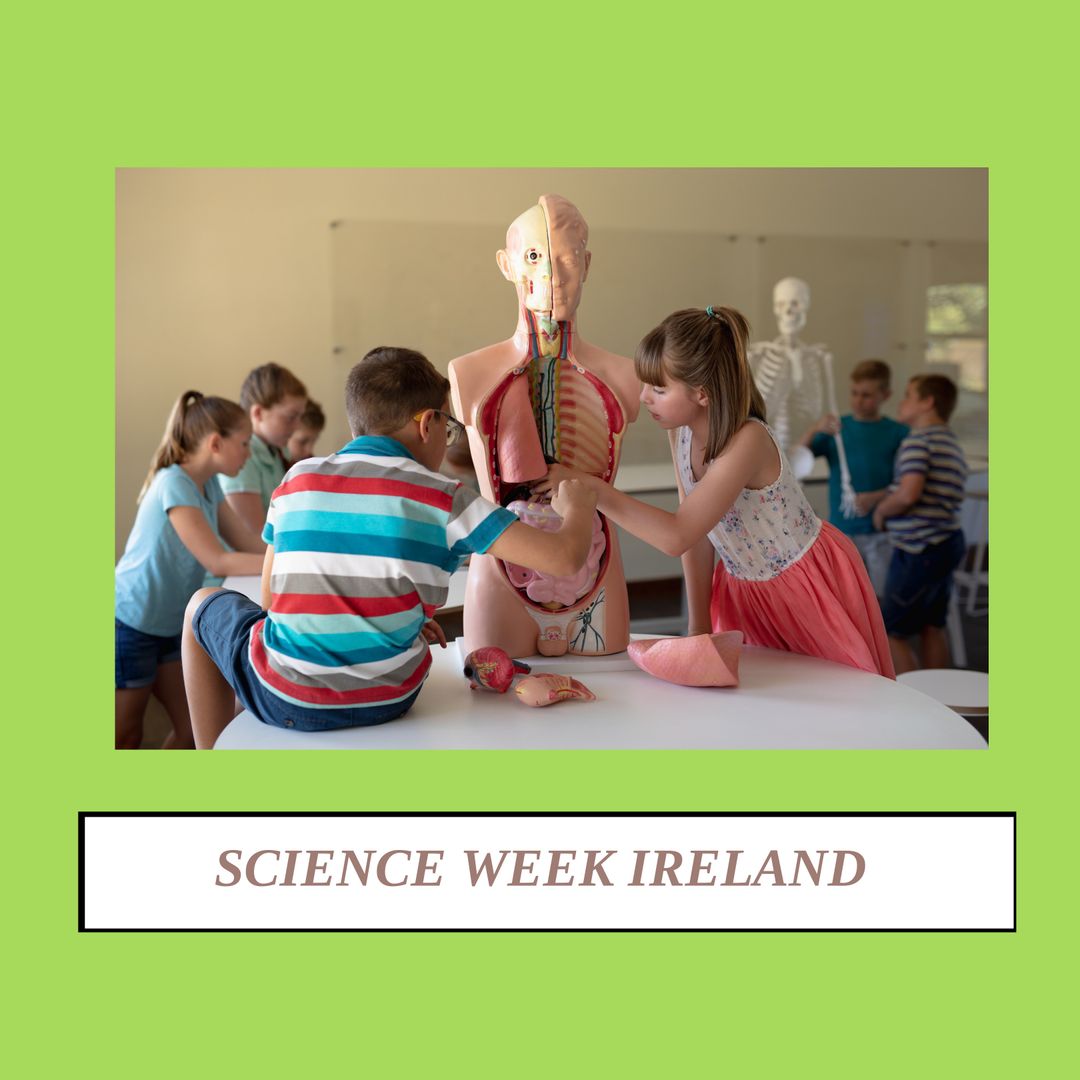 Children Exploring Anatomy with Classroom Muscle Model