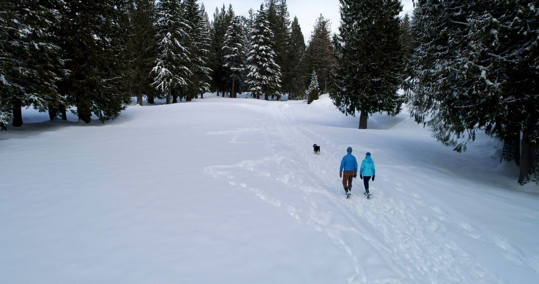 Couple Walking with Dog on Snowy Path Amidst Winter Forest
