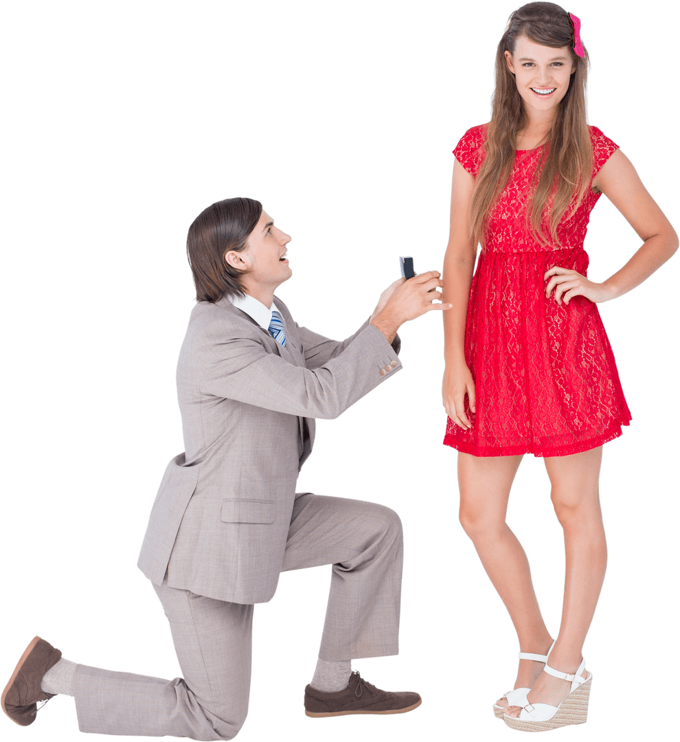 Transparent Marriage Proposal with Elegant Hipster Couple