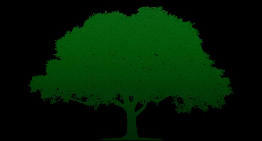 Green Tree Silhouette Against Black Background - Free Images, Stock Photos and Pictures on Pikwizard.com