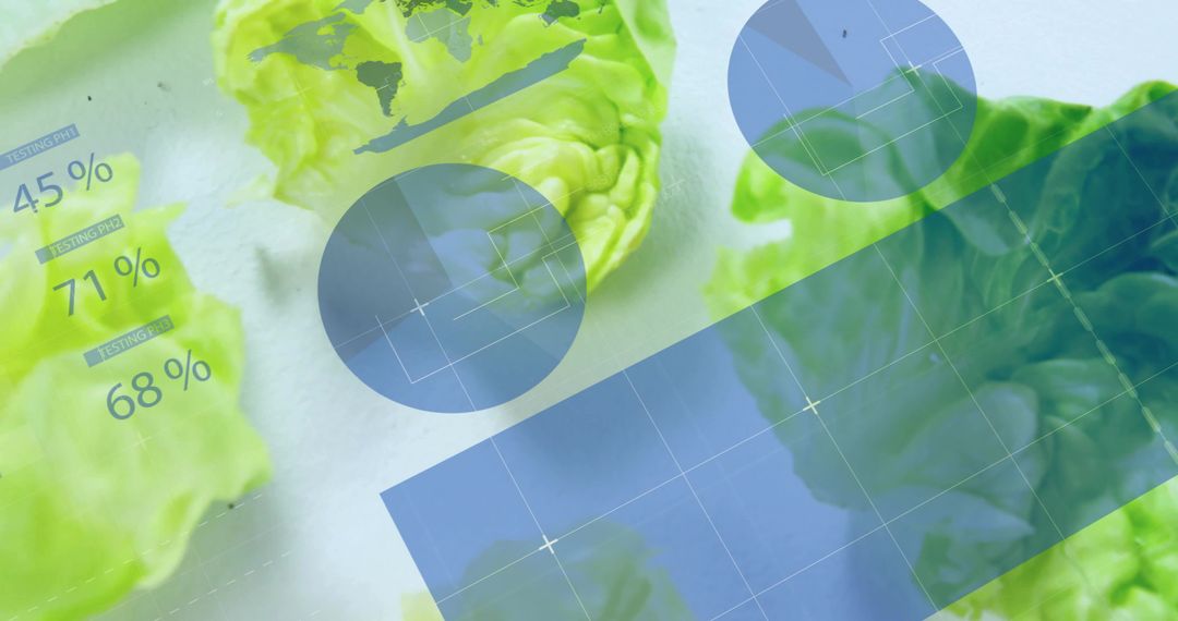 Crisp Lettuce Leaves with Modern Data Visualization Graphics