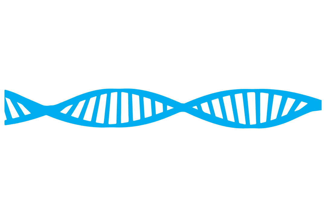 Blue Molecular DNA Helix on Transparent Background