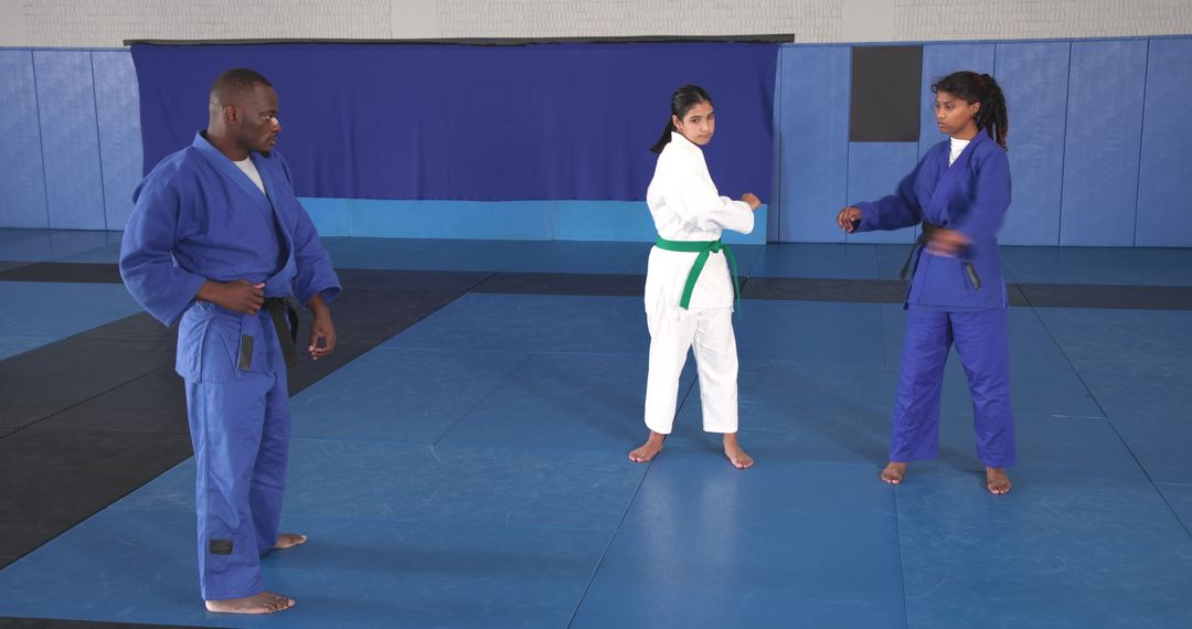Diverse Athletes Practicing Judo Stances on Tatami Mat