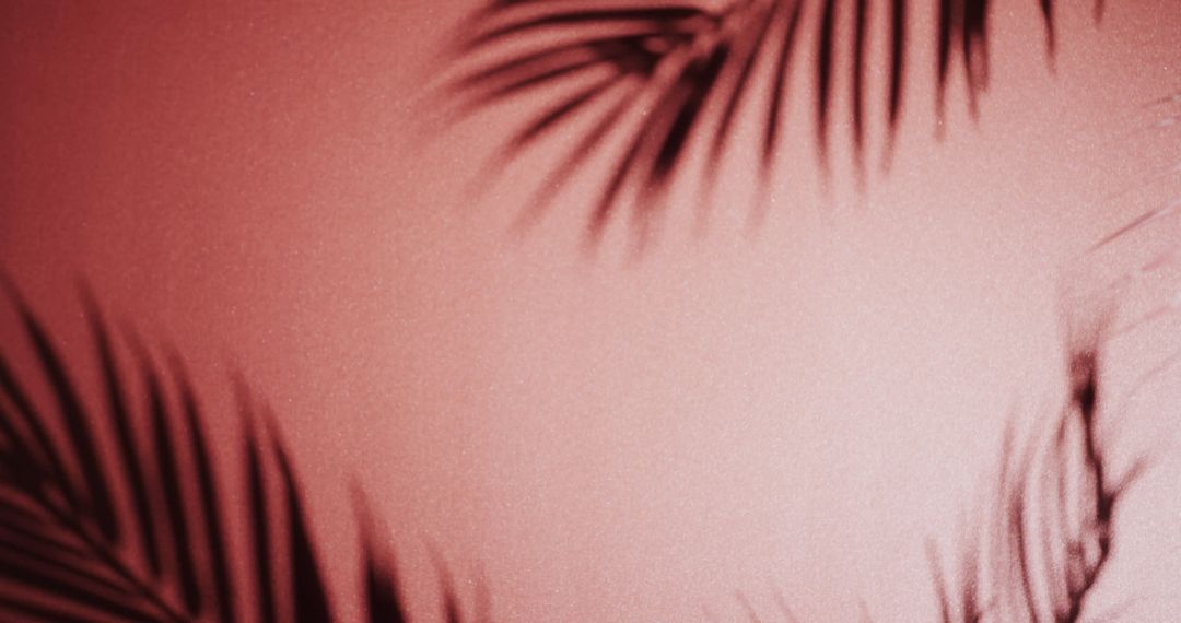 Palm Tree Shadows on Textured Pink Background