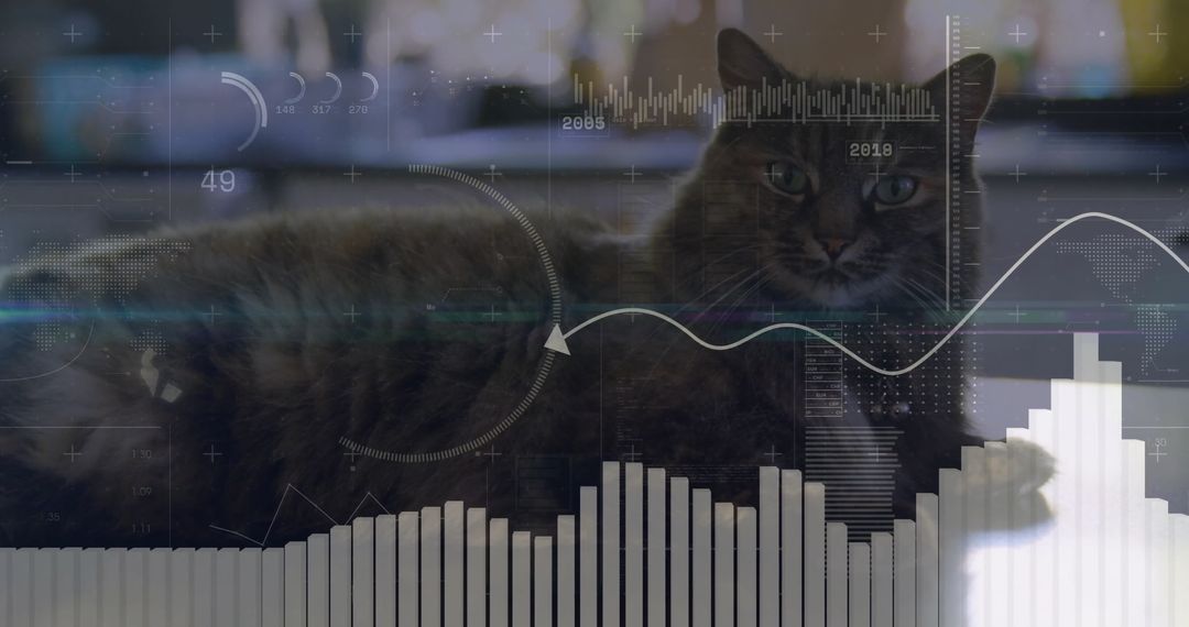 Tabby Cat With Futuristic Digital Interface Overlays Near Window