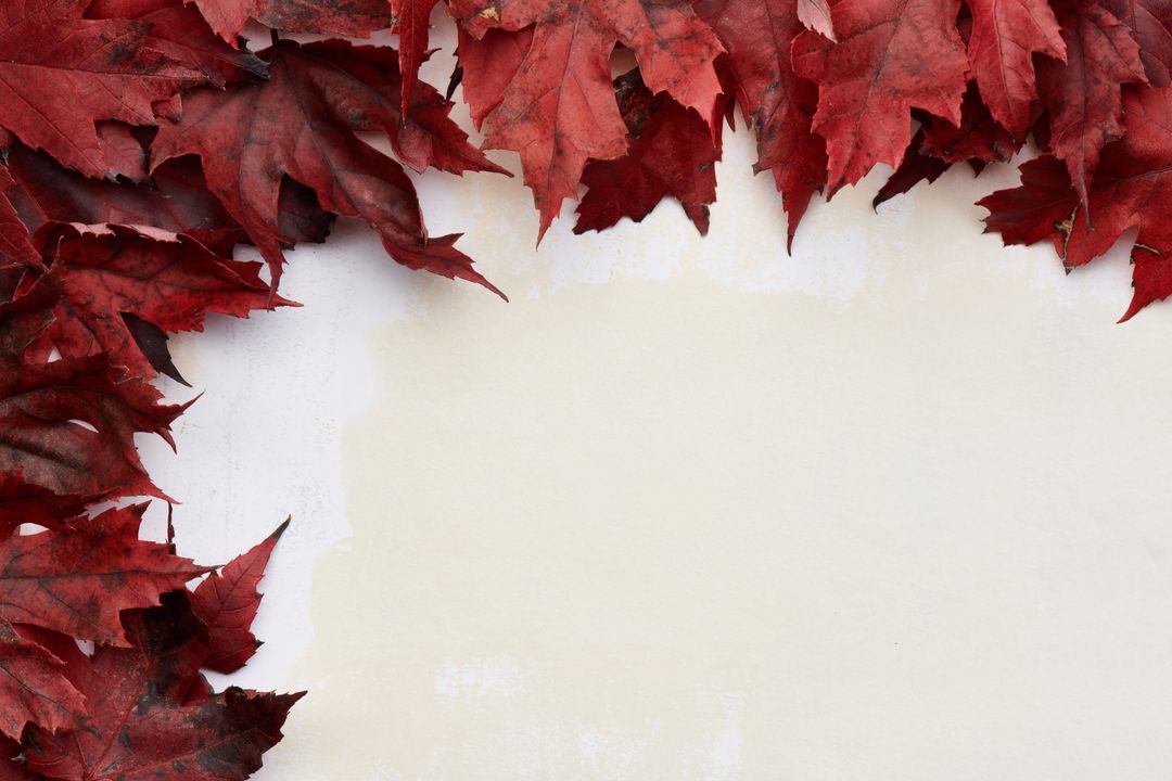 Crimson Maple Leaves Border Framing Blank Cream Paper Autumn Stationery Background for Text